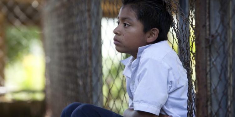 UNICEF calls on governments to prioritize the reopening of schools