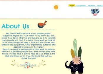 AI chat-bot platform for teenagers to discuss their mental health issues by class 11 students of SNS