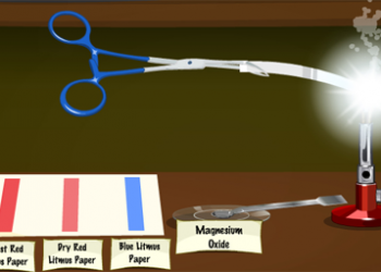 Amrita Vishwa Vidyapeetham launches Online Labs for School Experiments (OLabs) in Maldives