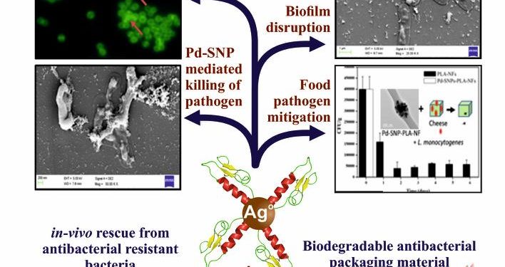 IIT Roorkee Researchers Develop A Novel Multi-model Nanobiotic Platform ...