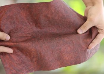 Leather alternative, Fleather –by IIT Kanpur-incubated startup Phool.co in 15 finalists for 2nd Annual Earthshot Prize Awards