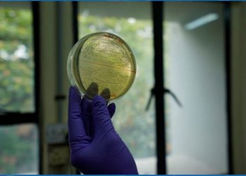 Centre for Cellular and Molecular Biology Innovates on AWS to Advance Genomics Research in India