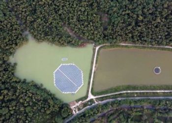 Floating Solar Technology developed by IIT Guwahati incubated start-up ‘Quant Solar’