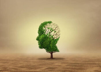 Bringing Sustainability Curriculum into schools is the way to go to endear the concept