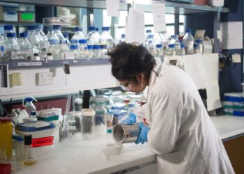 The Year 2024 was still transformative for education; 2025 may see consolidation of AI