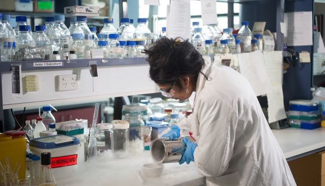 The Year 2024 was still transformative for education; 2025 may see consolidation of AI