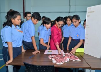 Holistic Education for Future: The Role of Curriculum in Integrating Life Skills, Creativity, and Innovation