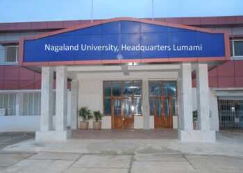 Nagaland University to launch Undergraduate Program in Basic Sciences