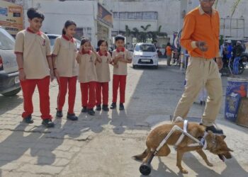 AES students design prosthetic support for injured dog