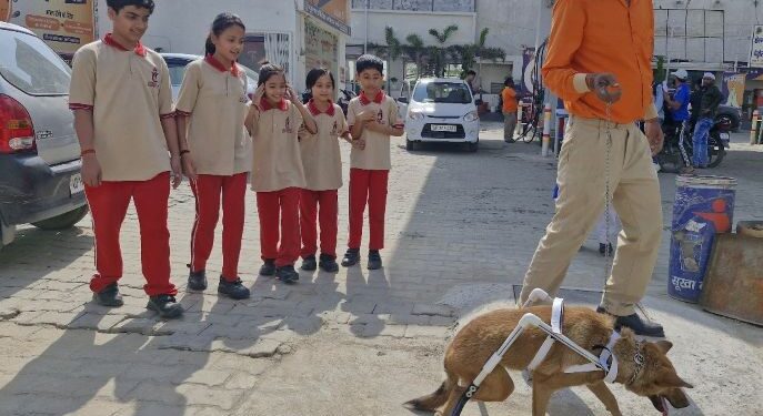 AES students design prosthetic support for injured dog