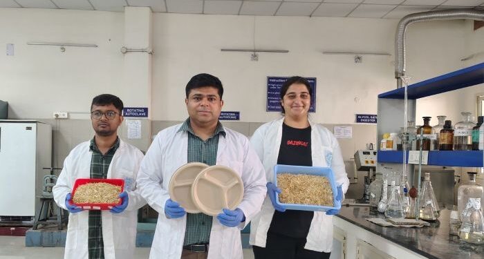IIT Roorkee’s INNOPAP Lab transforms wheat straw into biodegradable, compostable, food-safe tableware