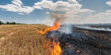 Chitkara University’s Stubble-Burning Solution Underscores the Role of HEIs in Addressing Agricultural Environmental Degradation in North India
