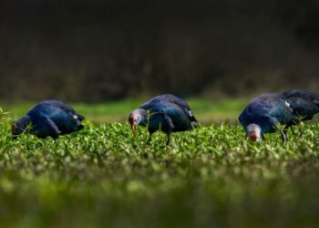 Photothon 2026: Over 1,100 participants from across India showcased their photographic talent