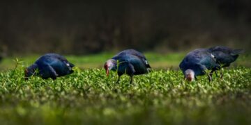 Photothon 2026: Over 1,100 participants from across India showcased their photographic talent