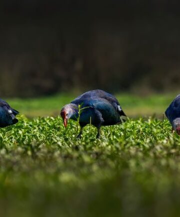 Photothon 2026: Over 1,100 participants from across India showcased their photographic talent