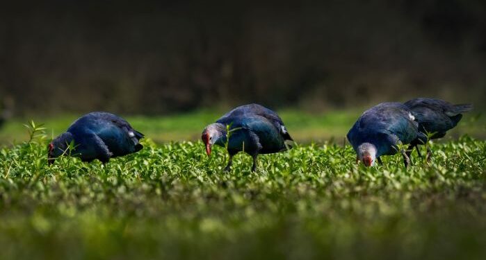 Photothon 2026: Over 1,100 participants from across India showcased their photographic talent