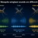 UOW India academic develops low-cost AI device to track the disease carrying mosquitoes