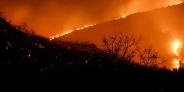 Two Decades of Satellite Data Reveals Changing fire regimes in wildlife reserves of southern India