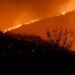 Two Decades of Satellite Data Reveals Changing fire regimes in wildlife reserves of southern India